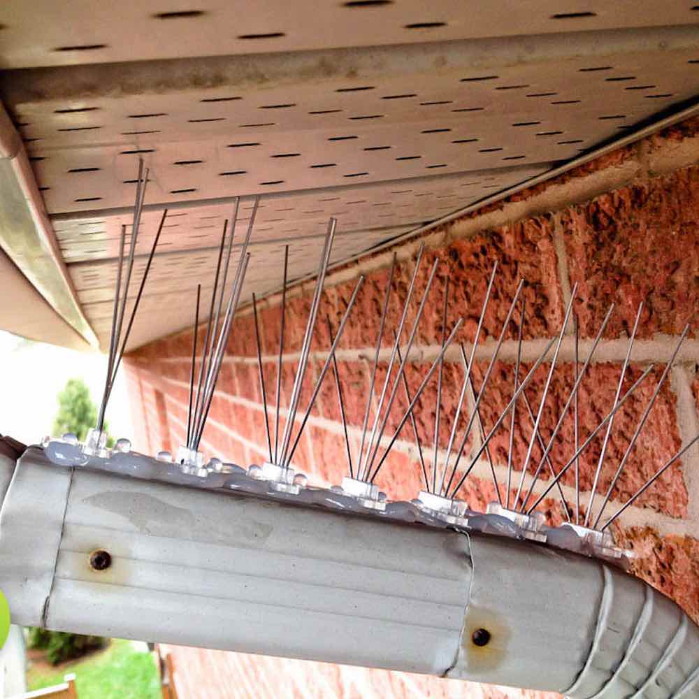 Bird Spikes, image 7