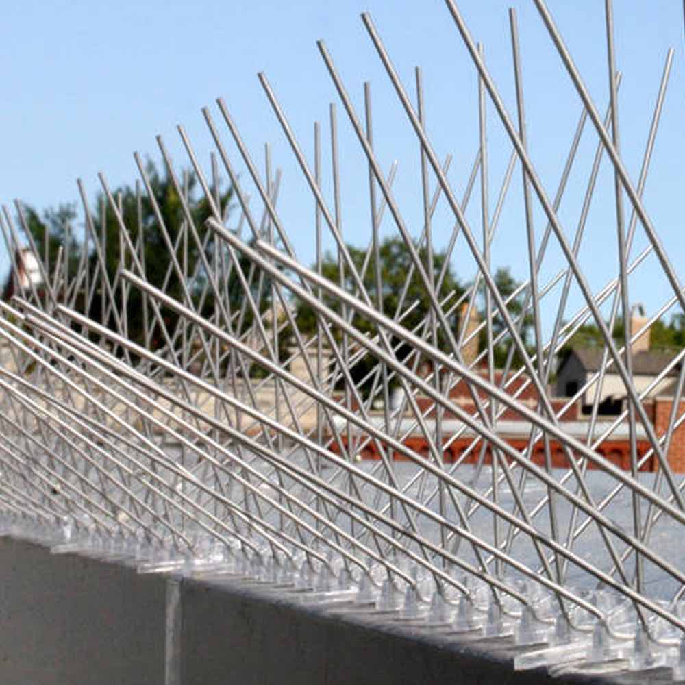 Bird Spikes, image 4