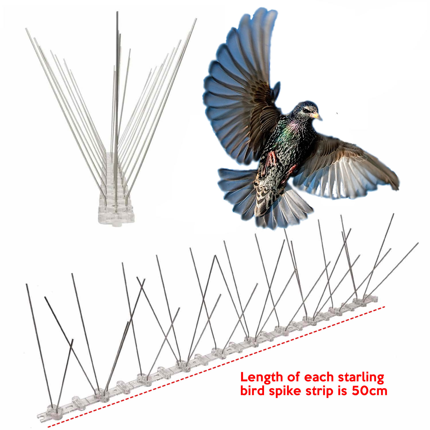Starling Bird Spikes