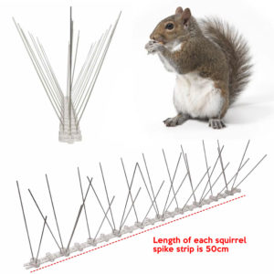 cheapest squirrel spike supplier online