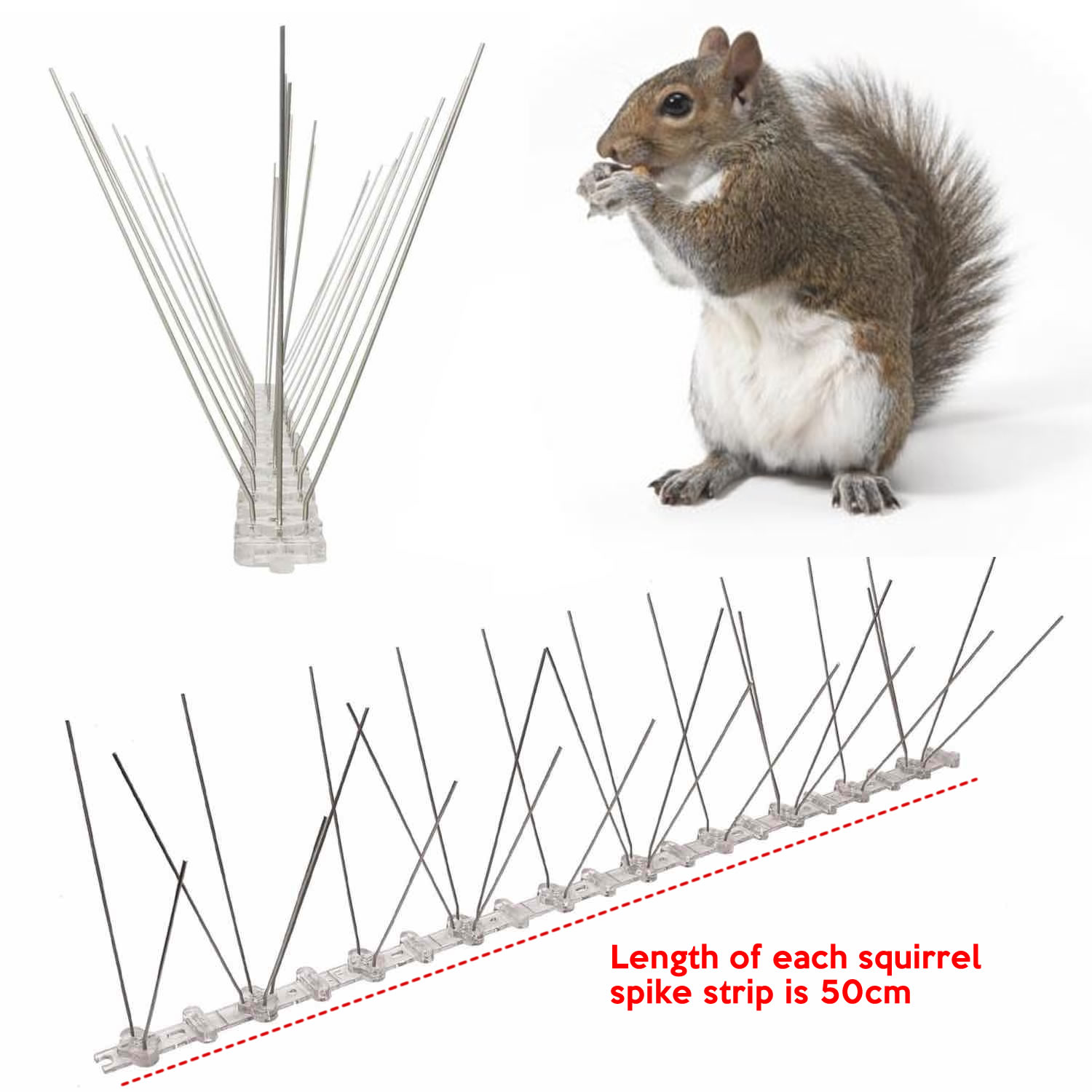 Squirrel Spikes