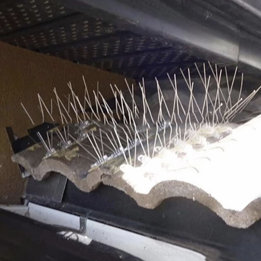 Gutter Spikes, image 6