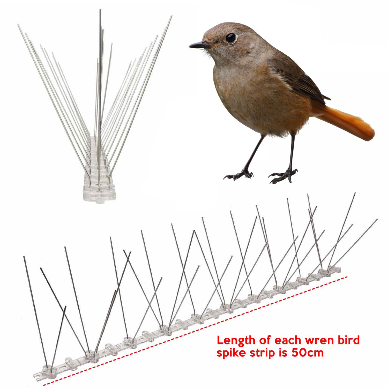 Anti-Wren Bird Spikes