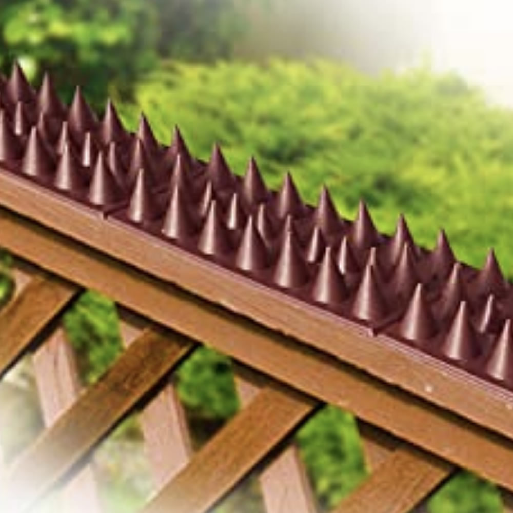 Anti-Squirrel Spikes, image 6