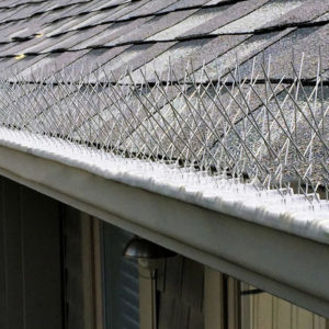pest bird deterrent spike system