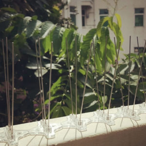where to buy anti bird spikes