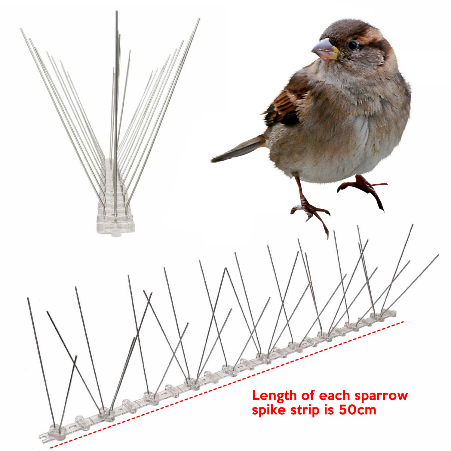 Sparrow Spikes