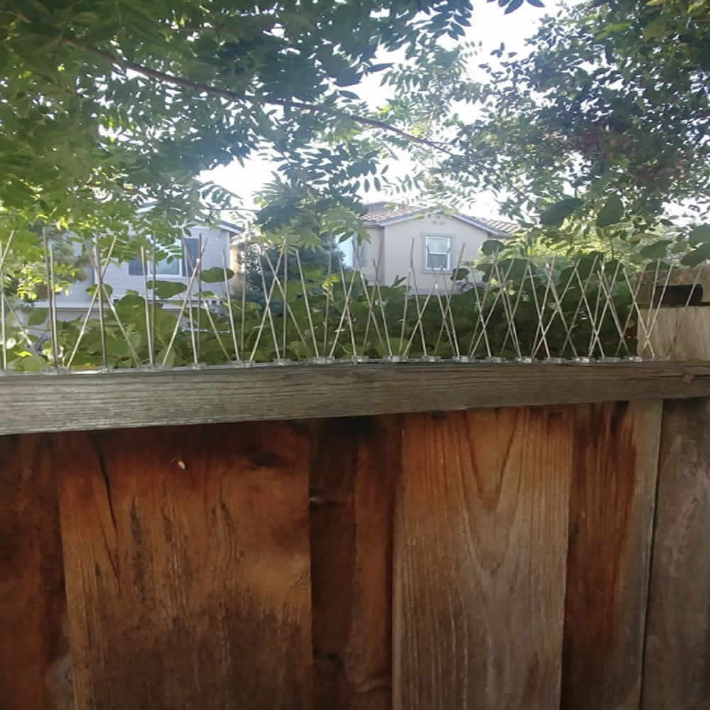 Fence Spikes, image 3