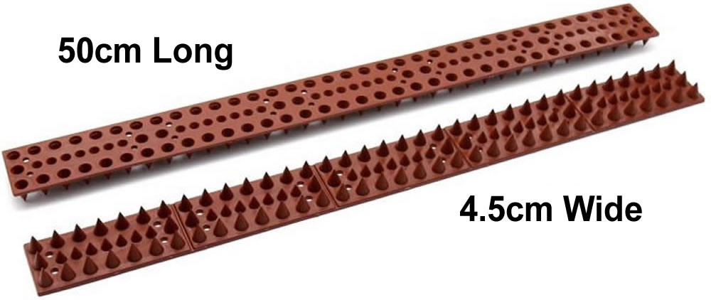where to buy anti squirrel spikes 